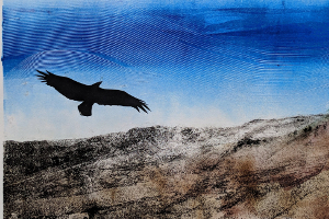 SoarM19 - Ravens over Tularosa Basin 1